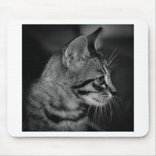 Beautiful Black and White Kitten Mouse Pad