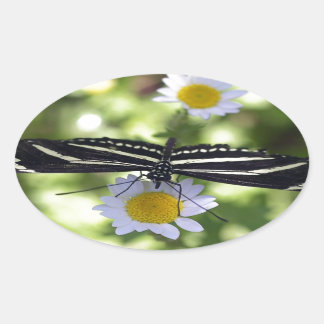 Beautiful Black and White Striped Butterfly Oval Sticker