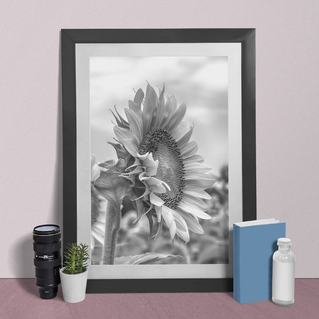 Beautiful Black and White Sunflower Side View Poster (Creator Uploaded)