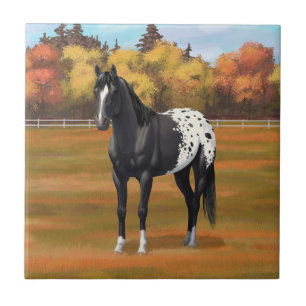Beautiful Black Appaloosa Quarter Horse Stallion Ceramic Tile