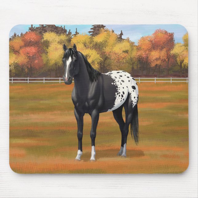 Beautiful Black Appaloosa Quarter Horse Stallion Mouse Pad (Front)