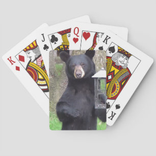 Beautiful Black Bear Bicycle Playing Cards