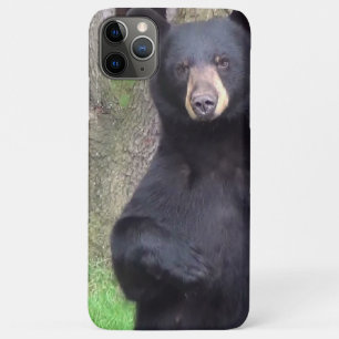Beautiful Black Bear iPhone 11 Pro Max Case