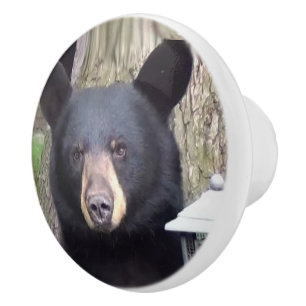 Beautiful Black Bear Ceramic Knob
