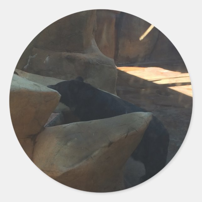 Beautiful Black Bear Climbing Classic Round Sticker (Front)