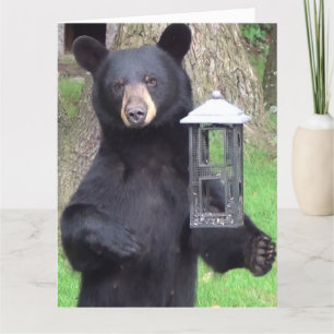 Beautiful Black Bear Enjoying Snack Card