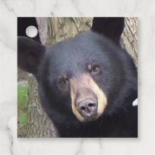 Beautiful Black Bear Favour Tags