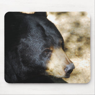 Beautiful Black Bear Mouse Pad