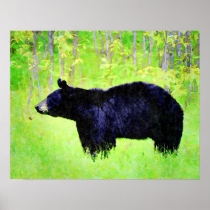 Beautiful Black Bear Wildlife Watercolor Paintings Poster