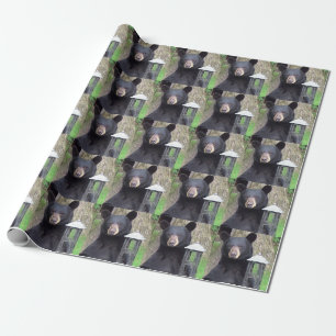 Beautiful Black Bear Wrapping Paper