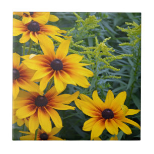 Beautiful black eyed susan flower garden ceramic tile