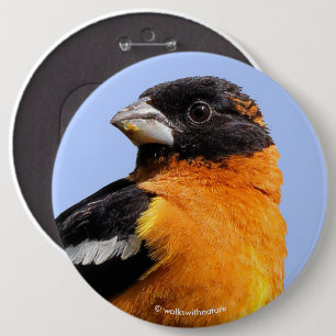 Beautiful Black-Headed Grosbeak in a Tree 6 Cm Round Badge