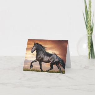 Beautiful Black Horse Card
