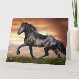 Beautiful Black Horse Card