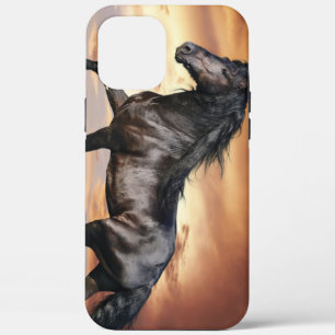Beautiful Black Horse iPhone 12 Pro Max Case