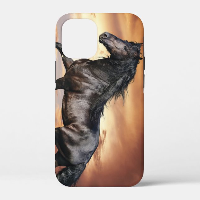 Beautiful Black Horse Case-Mate iPhone Case (Back)