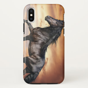 Beautiful Black Horse iPhone XS Case