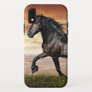 Beautiful Black Horse iPhone XR Case