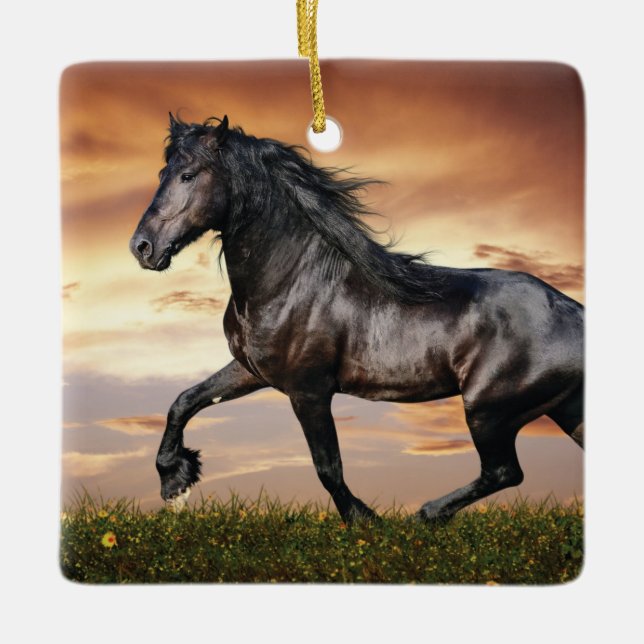 Beautiful Black Horse Ceramic Ornament (Front)