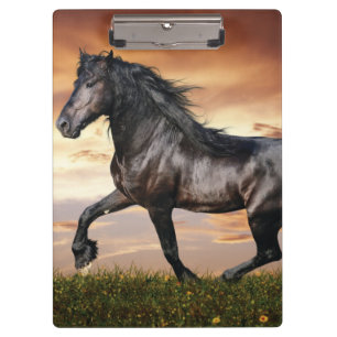 Beautiful Black Horse Clipboard