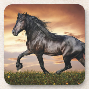 Beautiful Black Horse Coaster