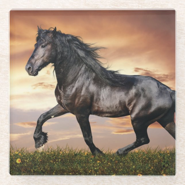 Beautiful Black Horse Glass Coaster (Front)