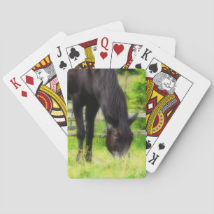 Beautiful Black Horse Grazing in Pasture Playing Cards