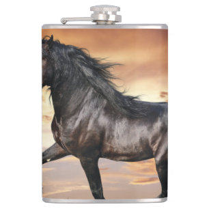 Beautiful Black Horse Hip Flask