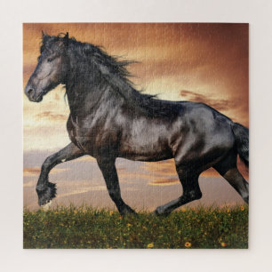 Beautiful Black Horse Jigsaw Puzzle