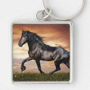 Beautiful Black Horse Key Ring