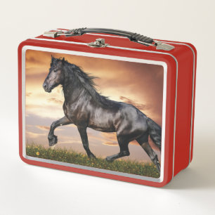 Beautiful Black Horse Metal Lunch Box