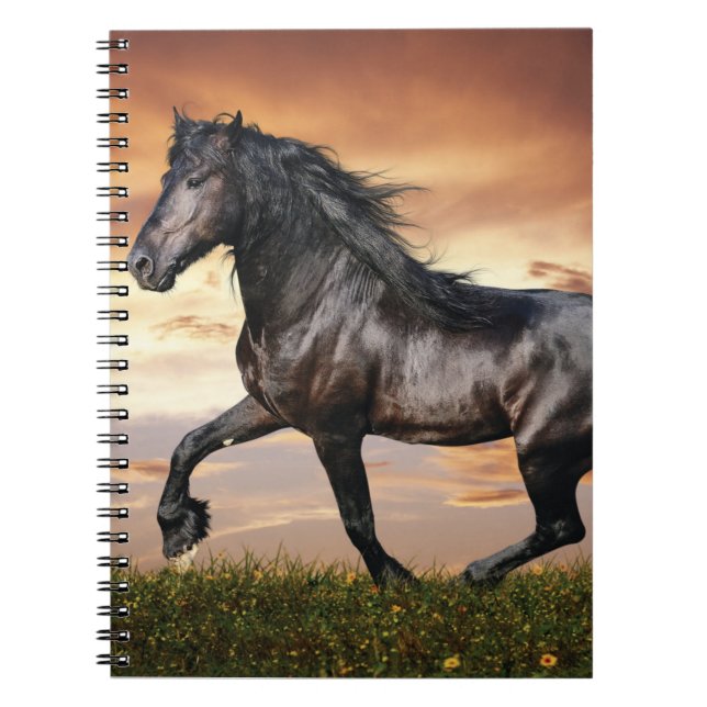 Beautiful Black Horse Notebook (Front)