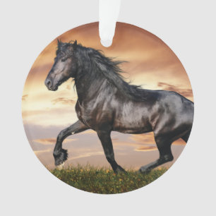 Beautiful Black Horse Ornament