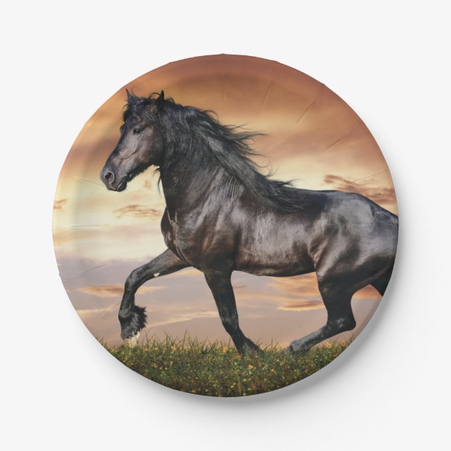 Beautiful Black Horse Paper Plate (Front)