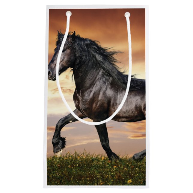 Beautiful Black Horse Small Gift Bag (Front)