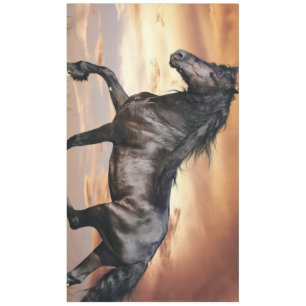 Beautiful Black Horse Tablecloth