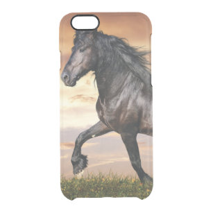 Beautiful Black Horse Clear iPhone 6/6S Case