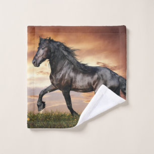 Beautiful Black Horse Wash Cloth