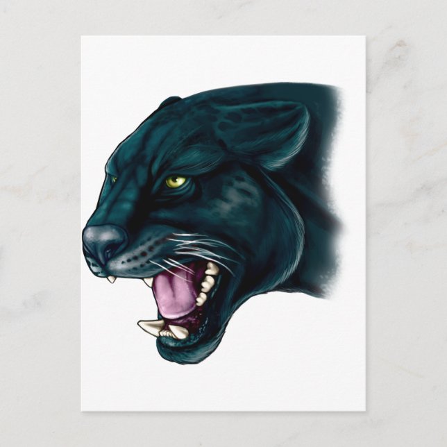 Beautiful Black Panther Postcard (Front)