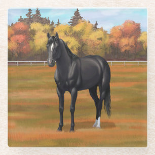 Beautiful Black Quarter Horse Stallion Glass Coaster