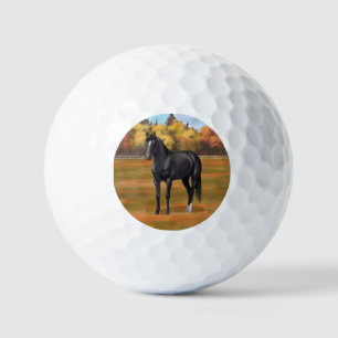 Beautiful Black Quarter Horse Stallion Golf Balls