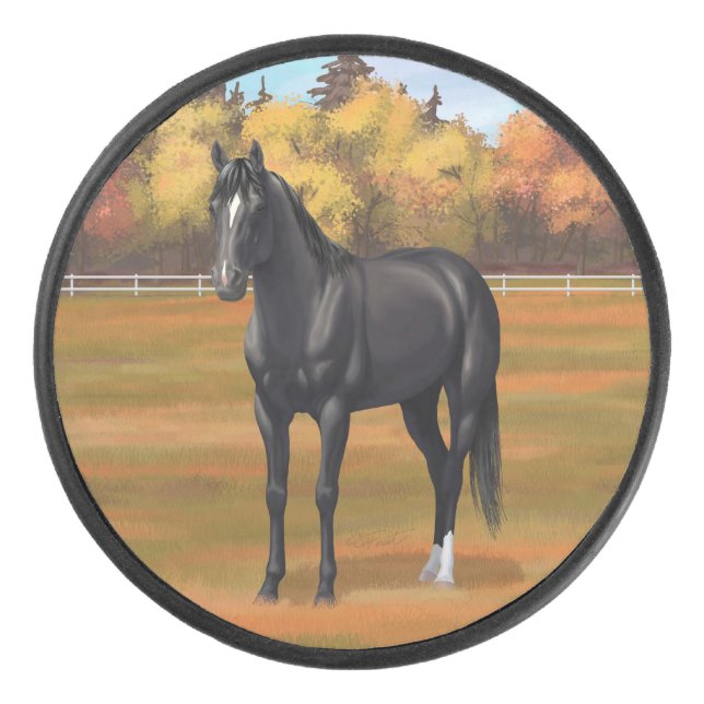 Beautiful Black Quarter Horse Stallion Hockey Puck (Front)