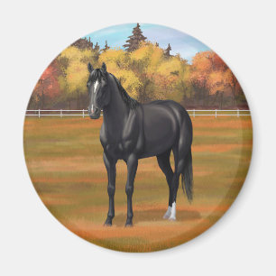 Beautiful Black Quarter Horse Stallion Magnet