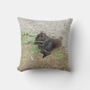 Beautiful Black Squirrel Throw Pillow