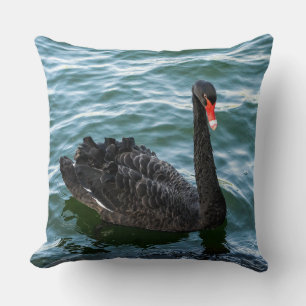 Beautiful Black Swan Cushion