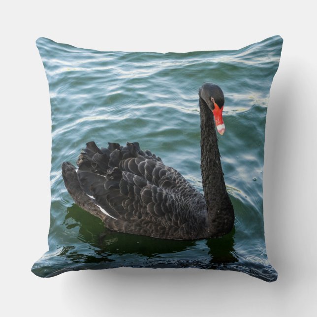 Beautiful Black Swan Cushion (Front)