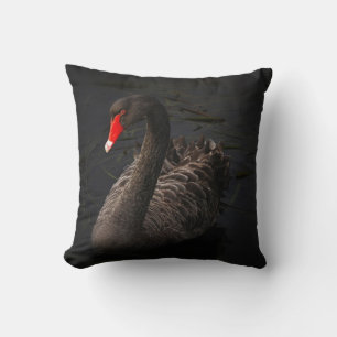 Beautiful Black Swan Floating on a River Cushion