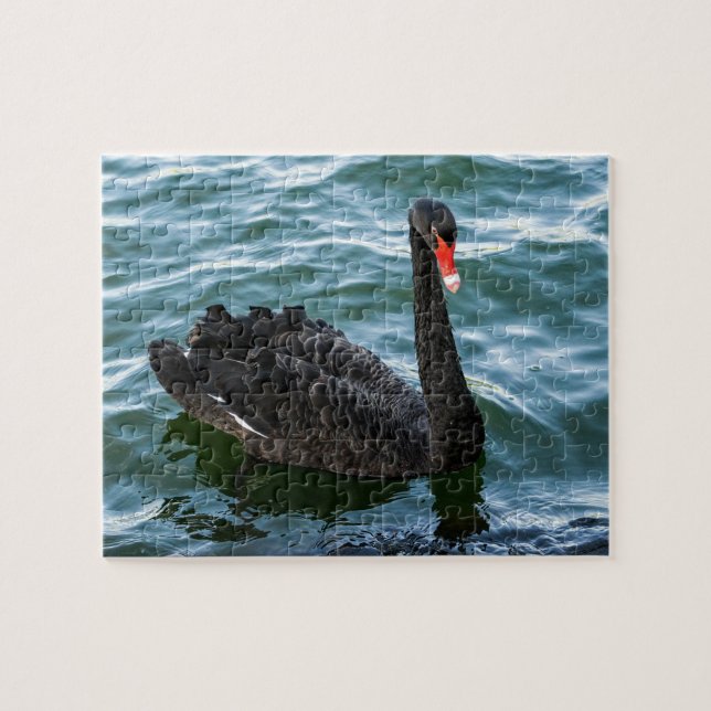 Beautiful Black Swan Jigsaw Puzzle (Horizontal)