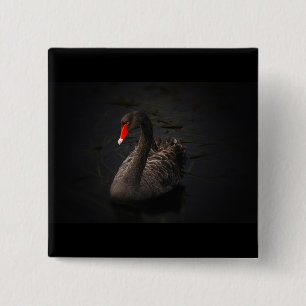 Beautiful Black Swan with a Bright Red Beak 15 Cm Square Badge