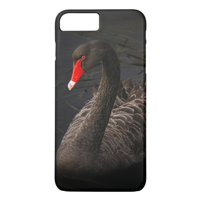 Beautiful Black Swan with a Bright Red Beak Case-Mate iPhone Case (Back)